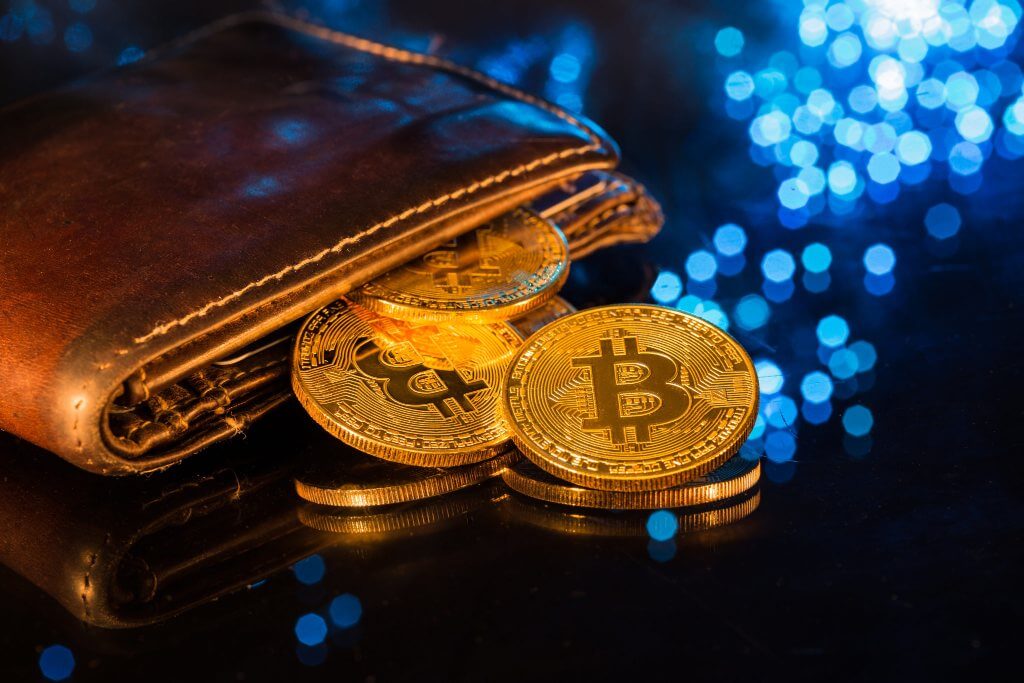 Bitcoin Cuzdanlari Nelerdir